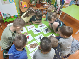 "Что положить в кормушку?" "Что положить в кормушку?".